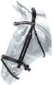 10197b.png