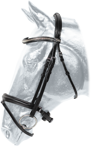 10197b.png
