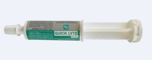 LPC QUICK LYTE FLASH 60G - elektrolity  tubie 