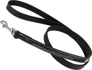 Smycz dla psa z ozdobnym przeszyciem Kentaur