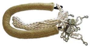 System do treningu konia - patent Pessoa