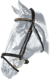 Ogłowie sportowe Kentaur Madison