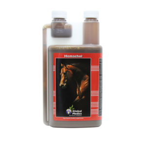 Global Medics Hemachol - preparat na czerwone krwinki