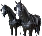 Uprząż syntetyczna parokonna Arden Biothane Training