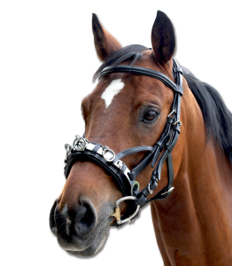 Kawecan skórzany Waldhausen