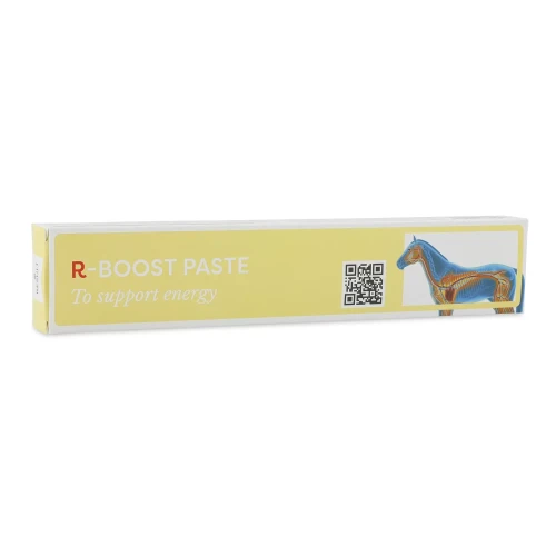 RESULT_R-BOOST-PASTE.webp