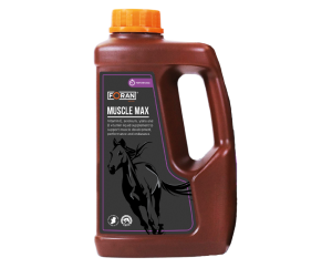 FORAN Muscle-Max - suplement wspomagający zdrowie, rozbudowę oraz regenerację mieśni