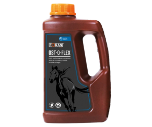 FORAN Ost-O-Flex - 1L - syrop dla wsparcia funkcjonowania stawów
