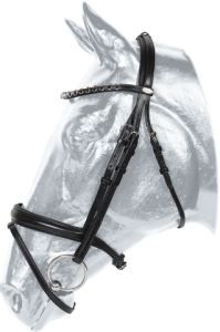 Ogłowie sportowe Kentaur Columbia