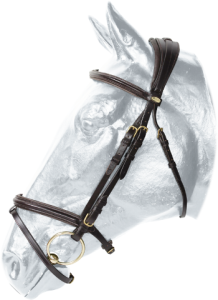 Ogłowie sportowe Kentaur Hamilton