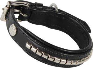 Obroża dla psa z metalowymi bloczkami Kentaur