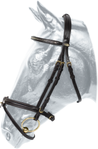 Ogłowie sportowe Kentaur Summerville