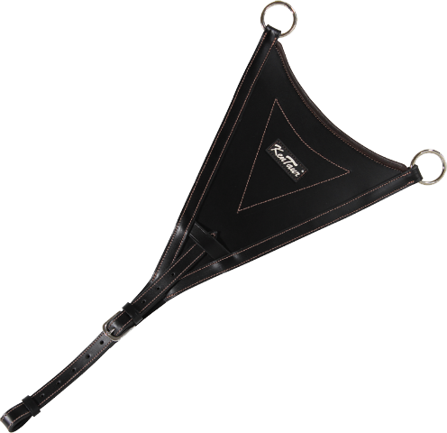 5285b.png
