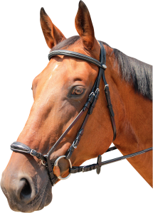 Ogłowie z nachrapnikiem hanowerskim Kentaur Clarksville