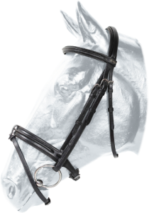 Ogłowie sportowe Kentaur Spring Hill