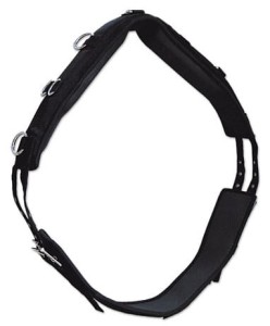 Pas do lonżowania z neoprenu