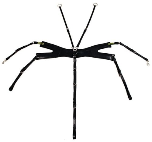 Napierśnik skokowy 5-punktowy Daw-Mag CNT