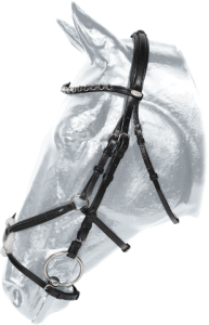 Ogłowie meksykańskie Kentaur Monterrey