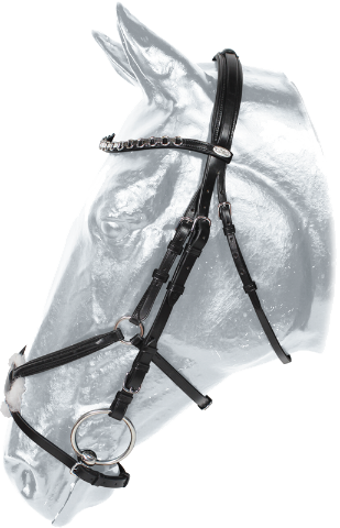 10082b.png
