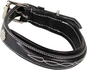 Obroża dla psa z ozdobnym przeszyciem Kentaur