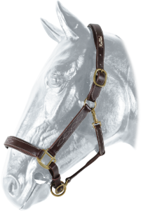 Kantar skórzany podszywany Kentaur